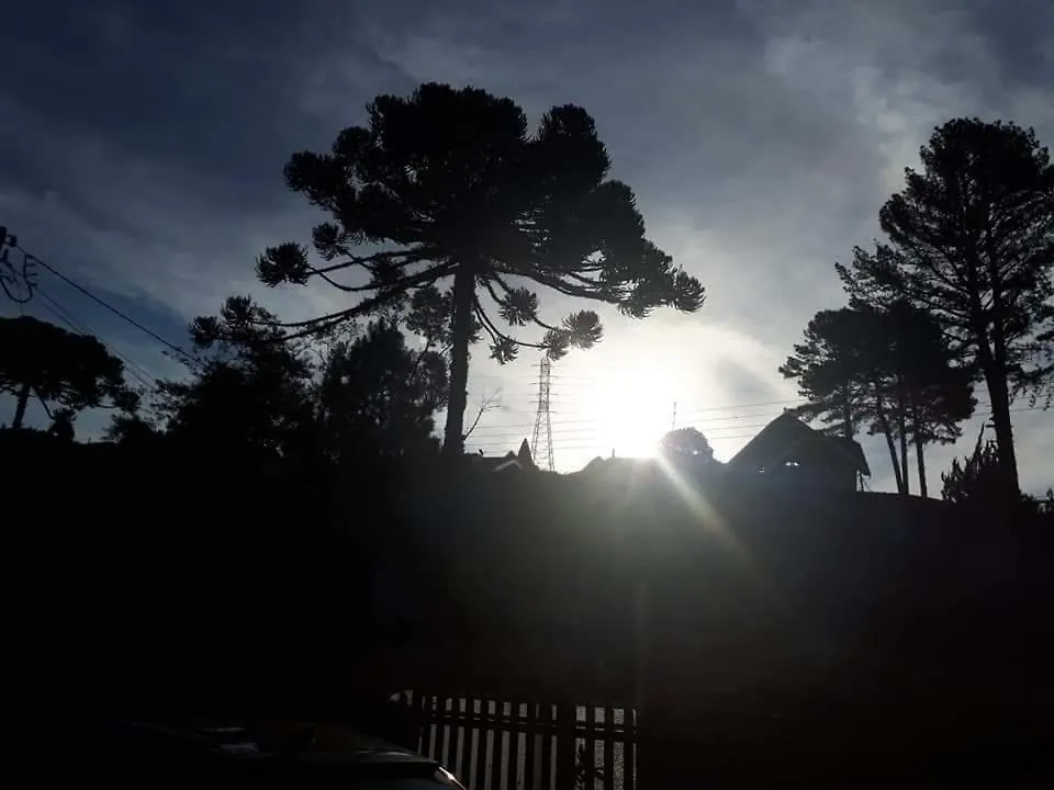 בית אירוח דירות Campos do Jordão A Casa Girassol